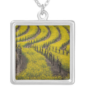 USA, California, Napa Valley, Los Carneros Ava. Silver Plated Necklace