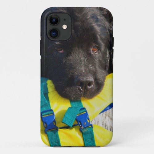 USA California Newfoundland With Life Vest iPhone 11 Case