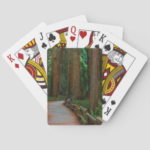 USA, California. Path Among Redwoods In Muir Poker Cards