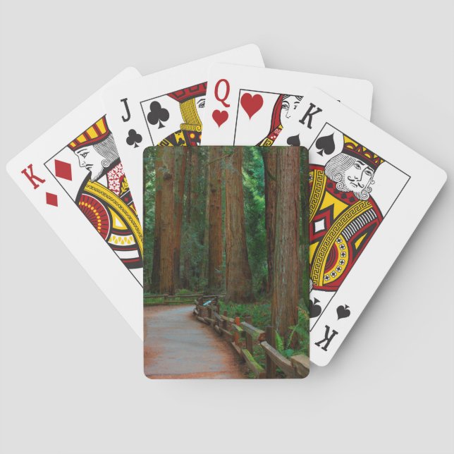 USA, California. Path Among Redwoods In Muir Poker Cards (Back)