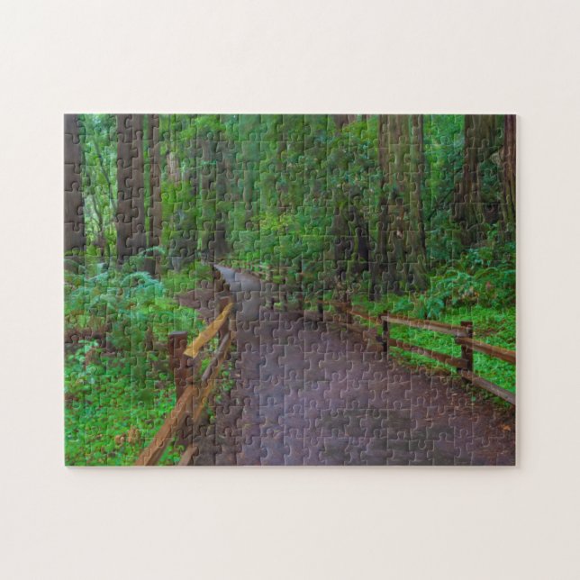 USA, California. Path Among Redwoods Jigsaw Puzzle (Horizontal)
