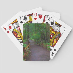 USA, California. Path Among Redwoods Poker Cards