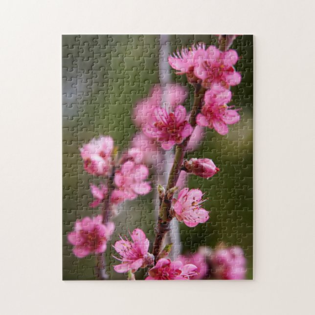 USA, California. Pink Blooms On A Tree Jigsaw Puzzle (Vertical)