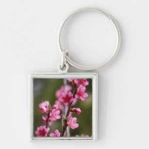 USA, California. Pink Blooms On A Tree Keychain