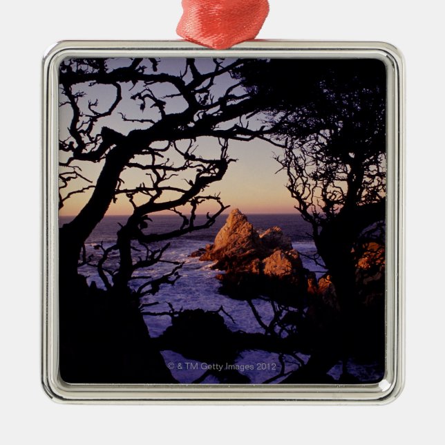 USA, California, Point Lobos, cypress tree and Metal Ornament (Front)