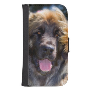 USA, California. Portrait Of Leonberger Sitting Galaxy S4 Wallet Case