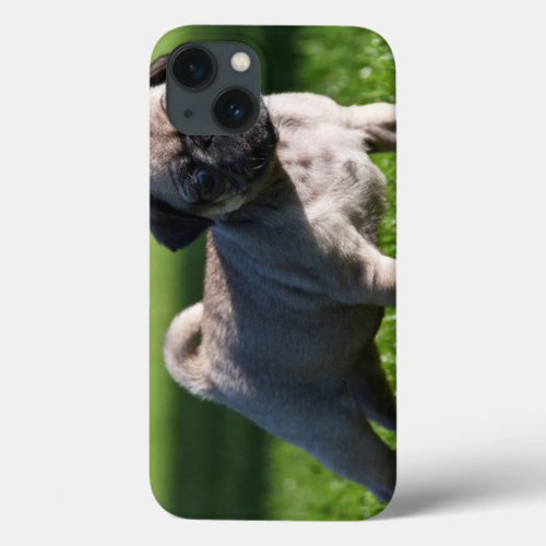 USA California Pug Puppy Standing In Grass 2 iPhone 13 Case