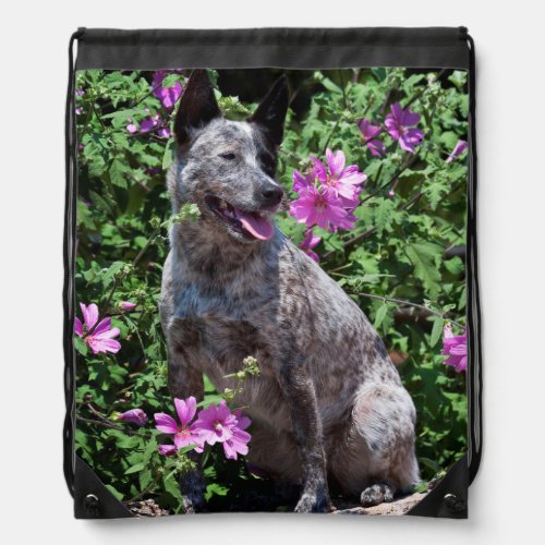 USA California Queensland Healer Sitting Drawstring Bag