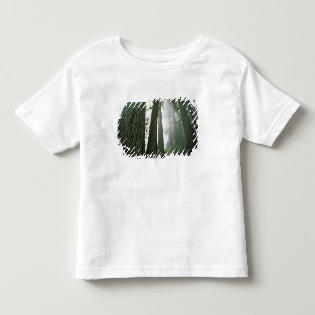 USA, California, Redwood National Park, 2 Toddler T-shirt (Front)