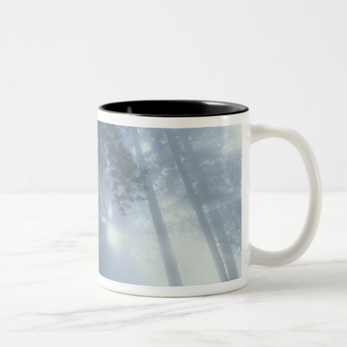 USA California Redwood National Park Del Two_Tone Coffee Mug