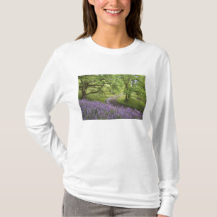 USA, California, Redwood National Park. Dirt T-Shirt