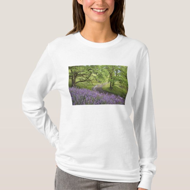 USA, California, Redwood National Park. Dirt T-Shirt (Front)