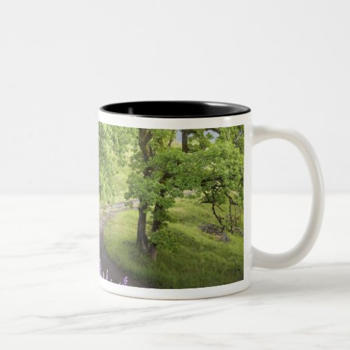 USA California Redwood National Park Dirt Two_Tone Coffee Mug