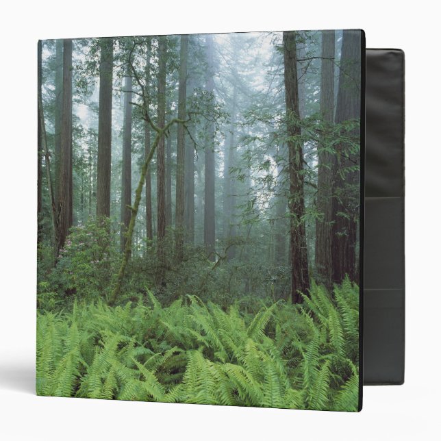 USA, California, Redwood NP. Ferns and Binder (Front/Inside)