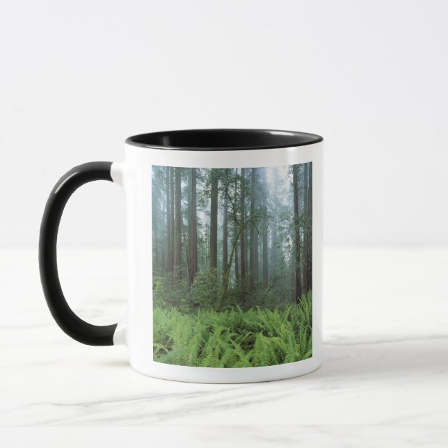 USA, California, Redwood NP. Ferns and Mug (Left)