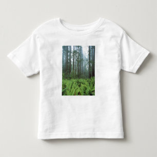 USA, California, Redwood NP. Ferns and Toddler T-shirt
