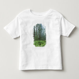 USA, California, Redwood NP. Ferns and Toddler T-shirt