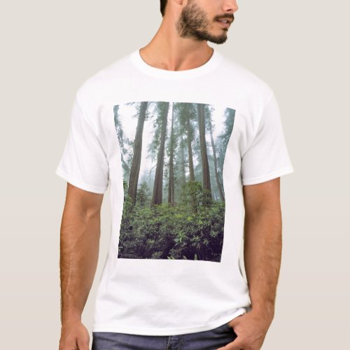 USA California Redwood NP Fog filters the T_Shirt