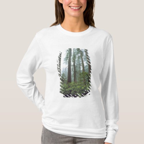 USA California Redwood NP Fog filters the T_Shirt