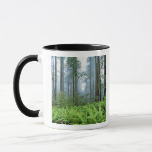 USA, California, Redwood NP. Redwood trees Mug