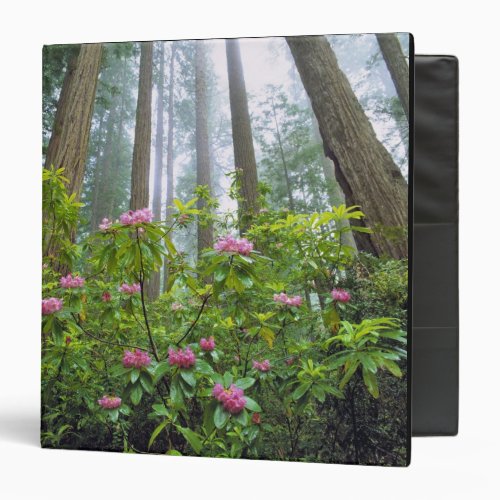 USA California Redwood NP Rhododendron 3 Ring Binder