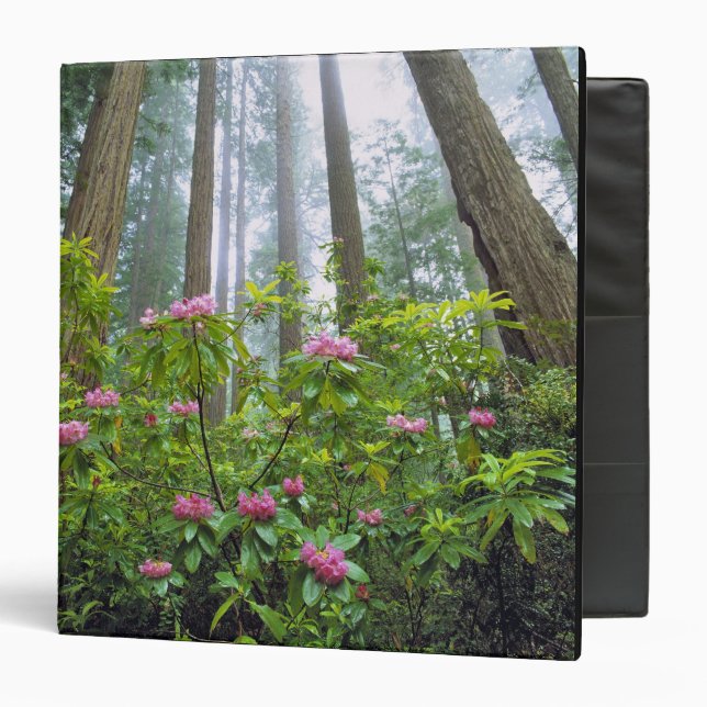 USA, California, Redwood NP. Rhododendron 3 Ring Binder (Front/Inside)