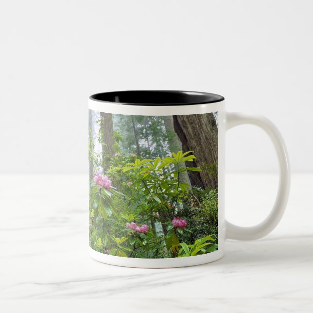 USA, California, Redwood NP. Rhododendron Two-Tone Coffee Mug (Right)