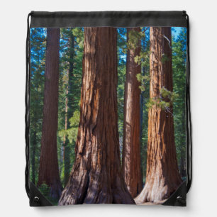 USA, California. Redwood Tree Trunks, Mariposa Drawstring Bag
