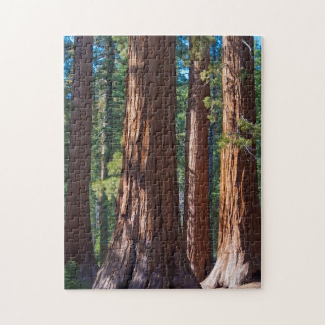 USA, California. Redwood Tree Trunks, Mariposa Jigsaw Puzzle (Vertical)