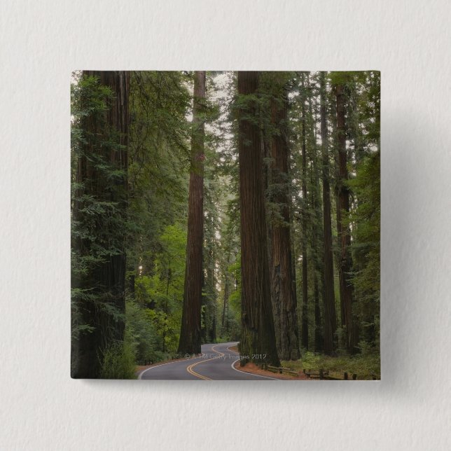 USA, California, road through Redwood forest 2 Pinback Button (Front)
