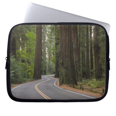 Usa, California, Road Through Redwood Forest Laptop Sleeve