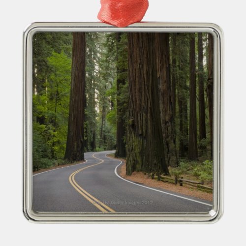 USA California road through Redwood forest Metal Ornament