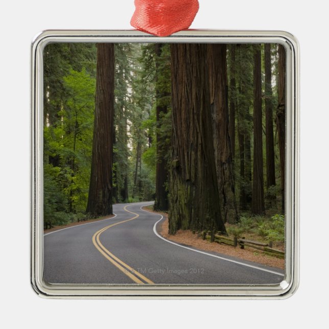USA, California, road through Redwood forest Metal Ornament (Front)
