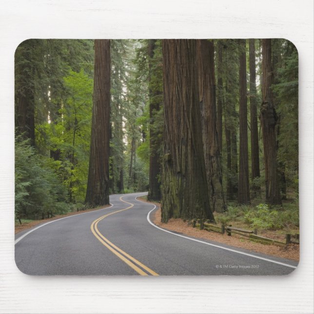 USA, California, road through Redwood forest Mouse Pad (Front)