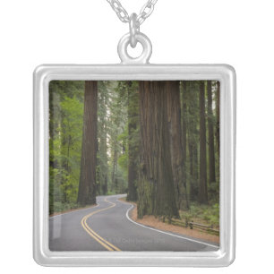 USA, California, road through Redwood forest Silver Plated Necklace