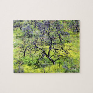 USA, California, San Diego. A burnt oak forest Jigsaw Puzzle