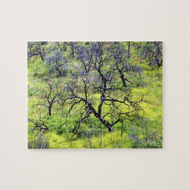 USA, California, San Diego. A burnt oak forest Jigsaw Puzzle (Horizontal)