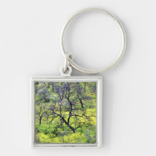 USA, California, San Diego. A burnt oak forest Keychain