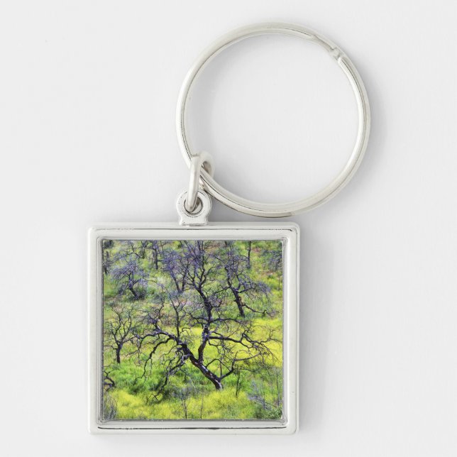 USA, California, San Diego. A burnt oak forest Keychain (Front)
