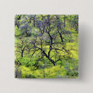 USA, California, San Diego. A burnt oak forest Pinback Button