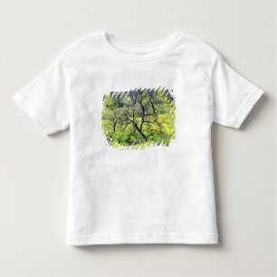 USA, California, San Diego. A burnt oak forest Toddler T-shirt