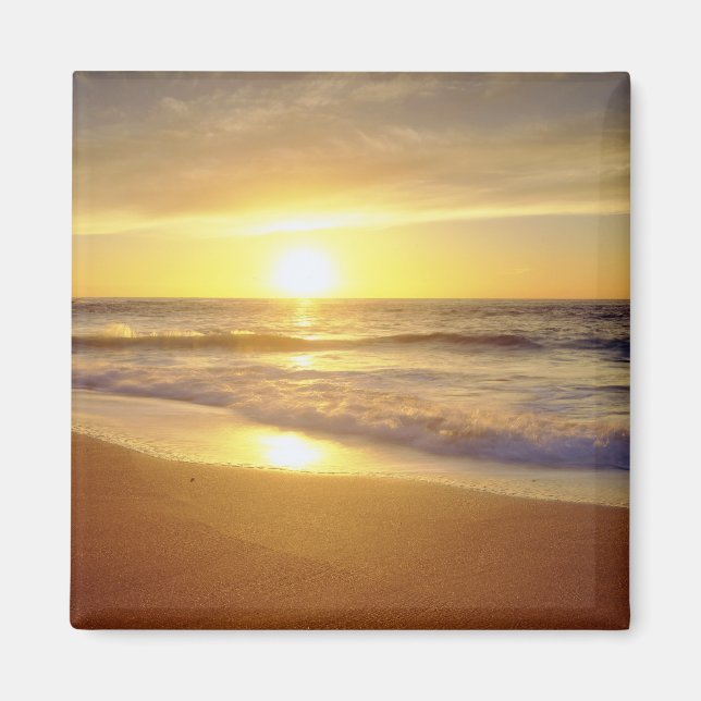 USA, California, San Diego. La Jolla Shores Magnet (Front)