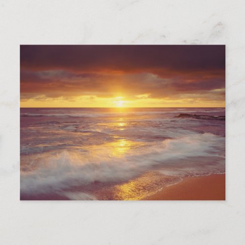 USA California San Diego Sunset Cliffs beach Postcard