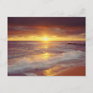 USA, California, San Diego. Sunset Cliffs beach Postcard