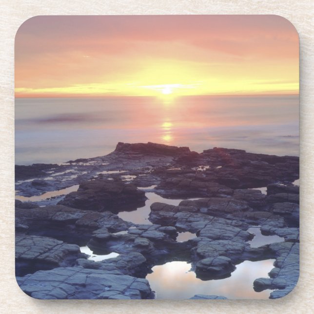 USA, California, San Diego. Sunset Cliffs tide Drink Coaster (Front)