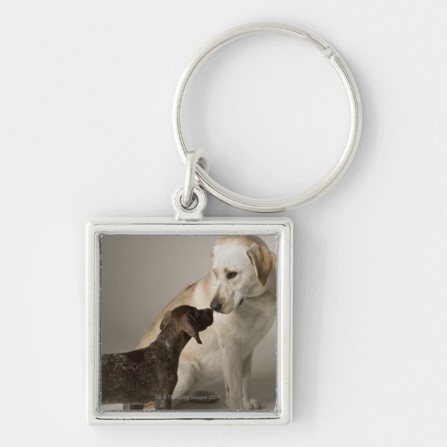 USA, California, San Francisco Keychain (Front)