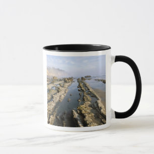 USA, California, Santa Barbara, Henry's Beach. Mug