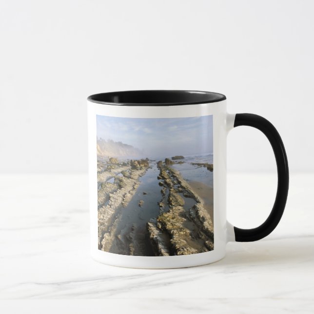 USA, California, Santa Barbara, Henry's Beach. Mug (Right)