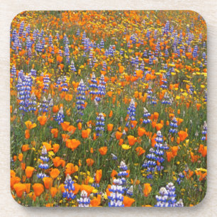 USA, California, Santa Margarita, Avenales Drink Coaster