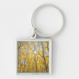 USA, California, Sierra Nevada Mountains. Fall Keychain